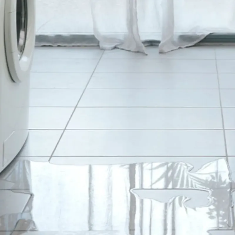 Appliance Leak Cleanup in Geneva, OH