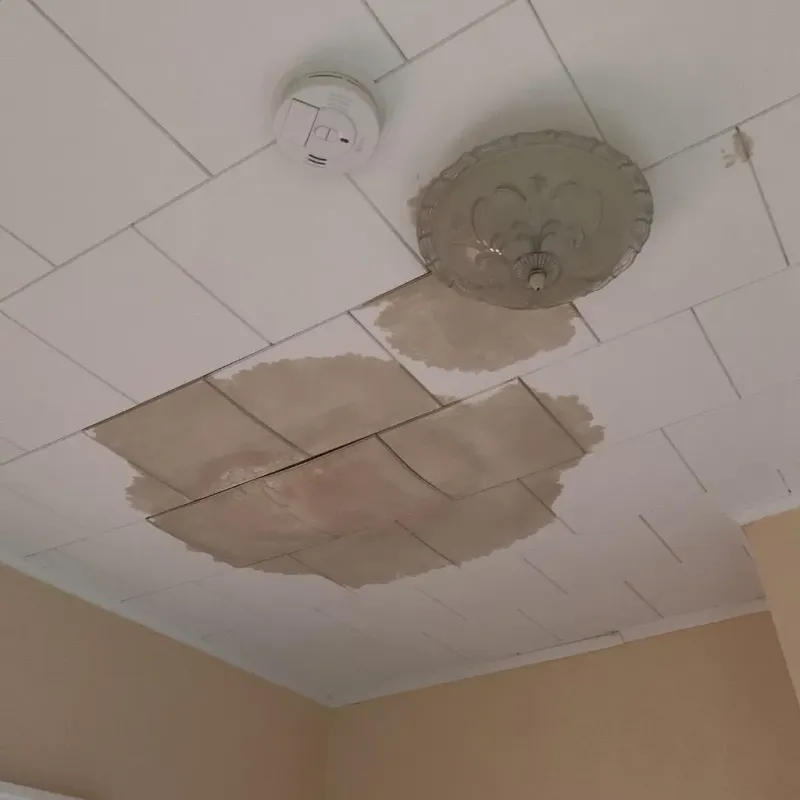Ceiling Water Damage Repair in Geneva, OH