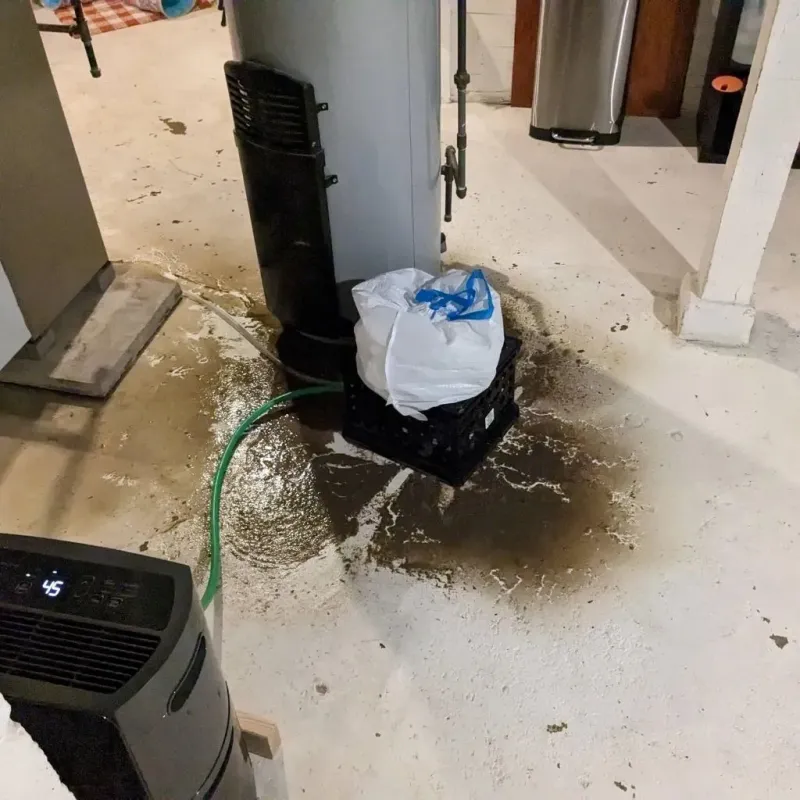Sewage Backup Cleanup Service in Geneva, OH